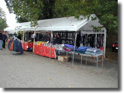 Reitsport Hellmold auf der Hengstparade in Celle